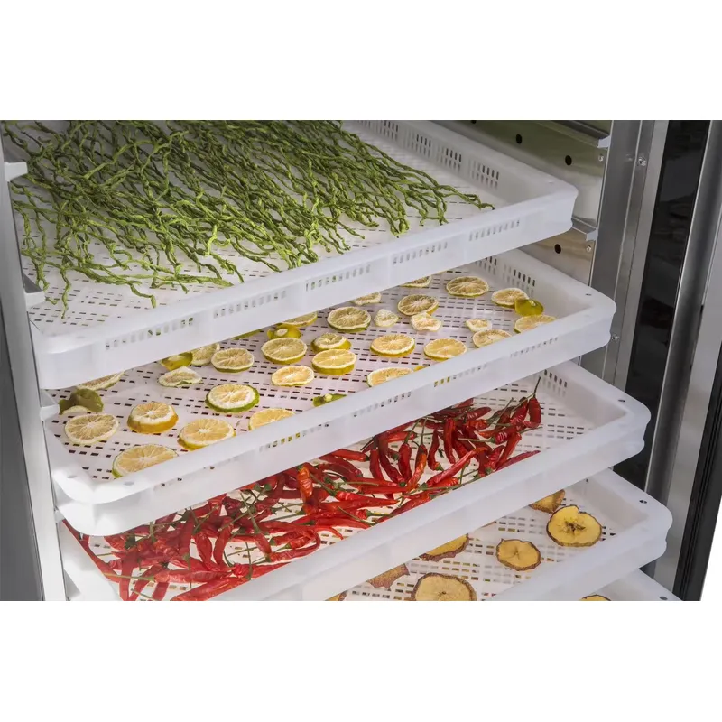 Deshidratador Industrial Comer - Commercial Food Dehydrator reseña y precio