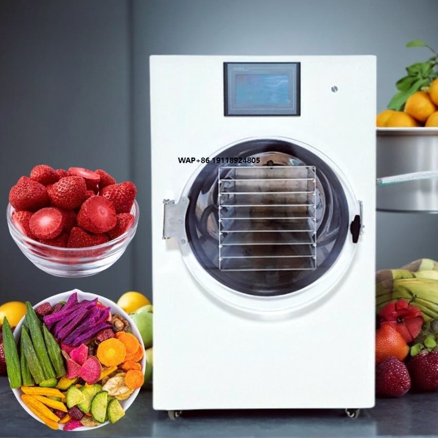 Mini Congelador Industrial Com - Commercial Food Dehydrator reseña y precio