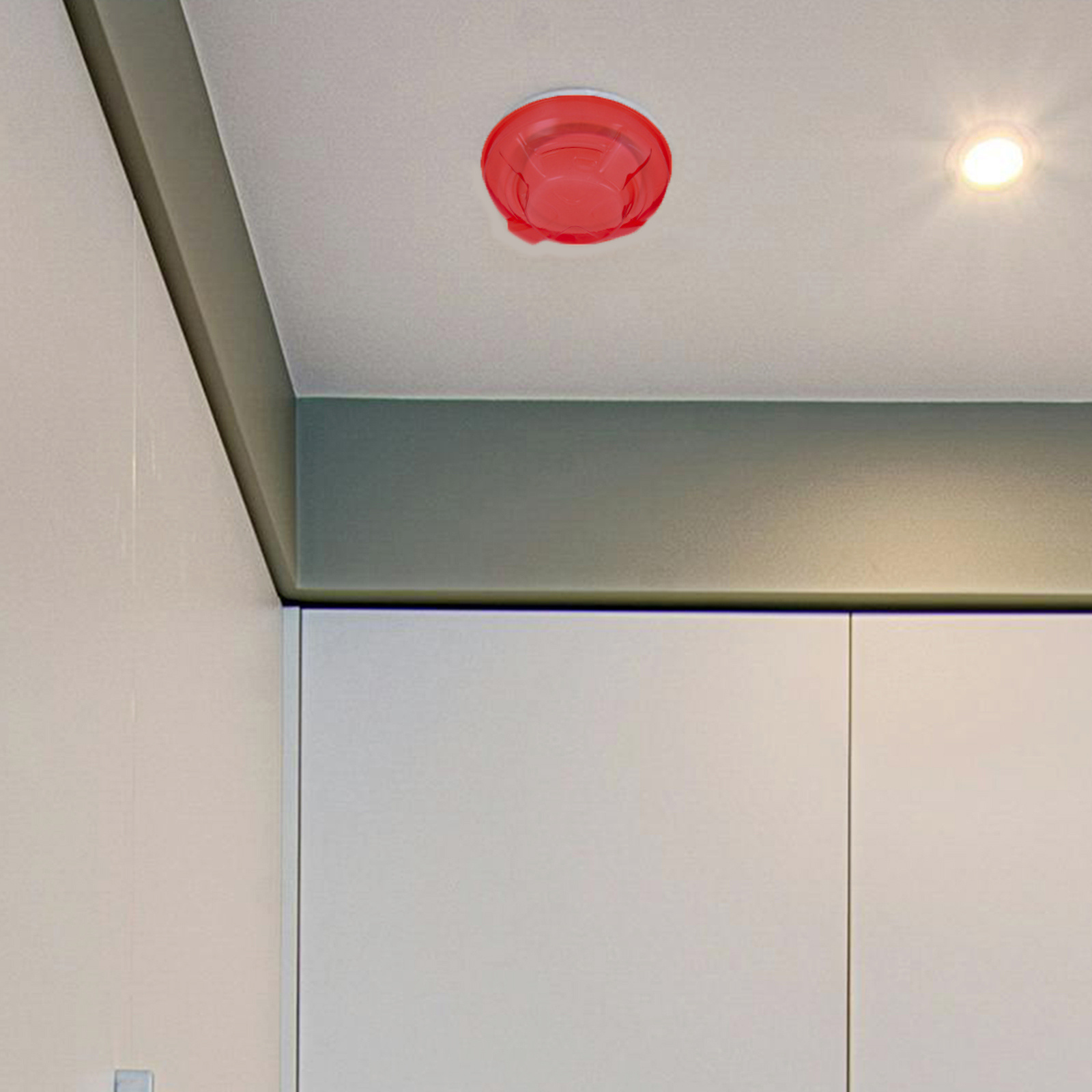 Cubierta protectora de humo, c - Commercial Kitchen Paint reseña y precio